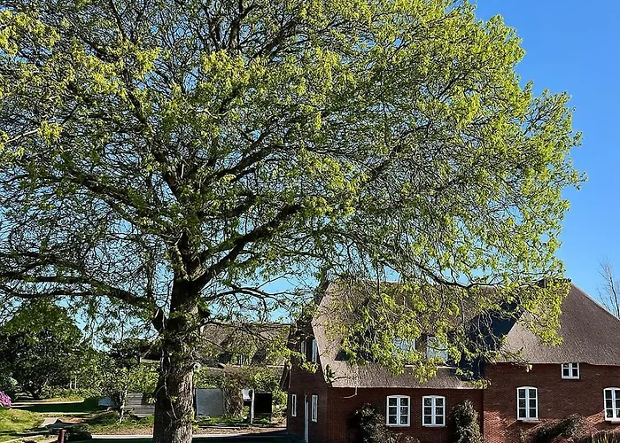 Faehrmanns Hues Lee *